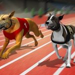 Racing Dog Simulator : Crazy Dog Racing Games